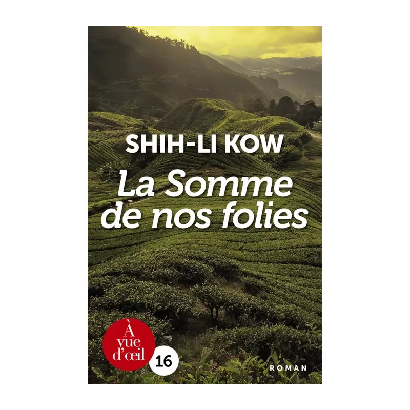 Livre en gros caractères - La Somme de nos folies