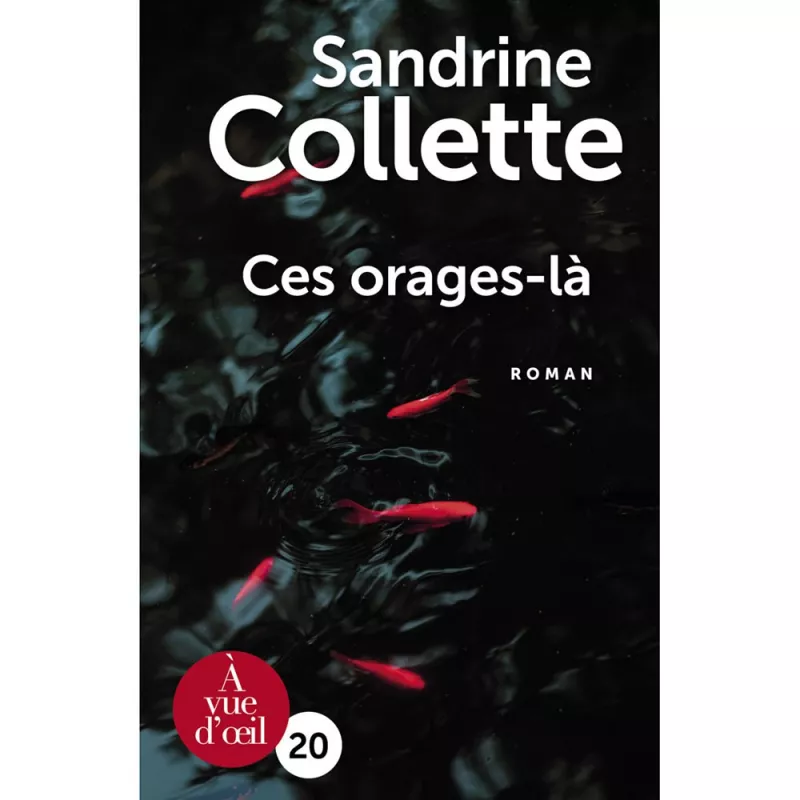 Livres en gros caractères - Ces orages-là - Mieux Voir