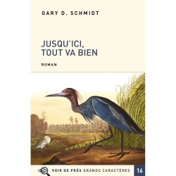 Livres en gros caractères - Jusqu'ici tout va bien - Mieux Voir