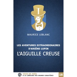Livres en gros caractères - L'aiguille creuse- Mieux Voir