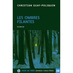 Livres en gros caractères - Les ombres filantes - Mieux Voir