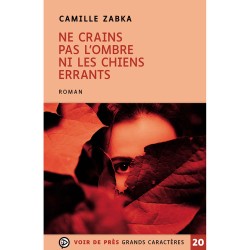 Livres en gros caractères - Ne crains pas l'ombre  - Mieux Voir