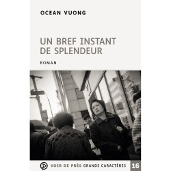 Livres en gros caractères - Un bref instant de splendeur - Mieux Voir