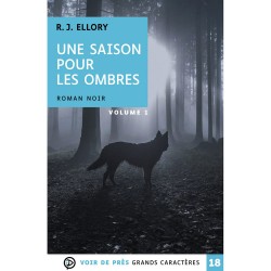 Livres en gros caractères - Une saison pour les ombres - Mieux Voir